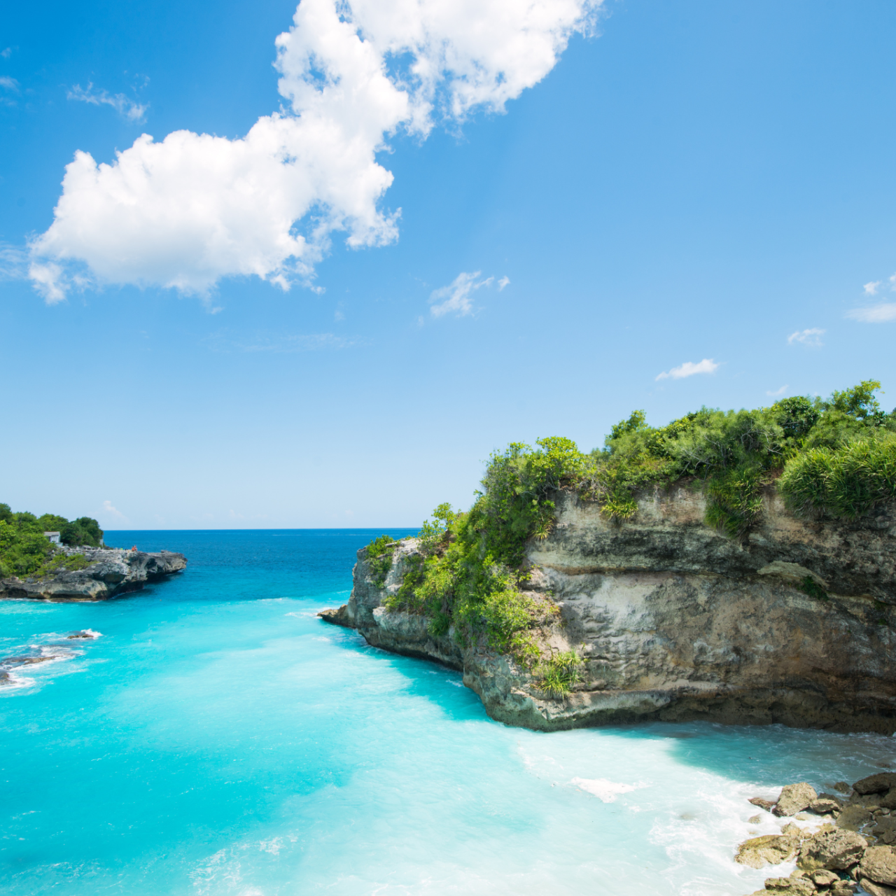 TOUR CUSTOM DOMESTIK