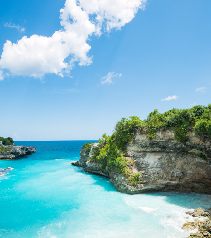 TOUR CUSTOM DOMESTIK